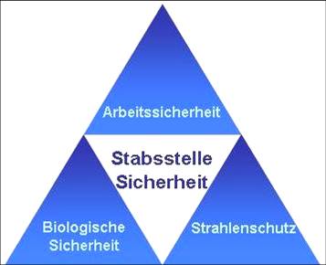 Logo SSI
