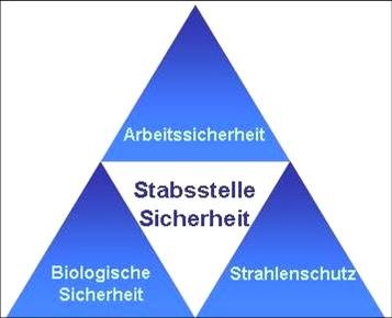 Logo SSI